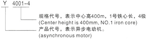 西安泰富西玛Y系列(H355-1000)高压YJTG-315L2-10A/75KW三相异步电机型号说明